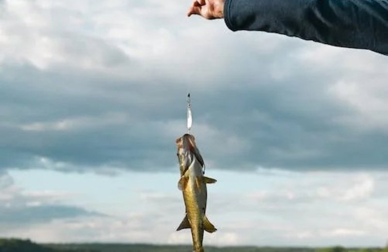 Pexels photo 13615160 1